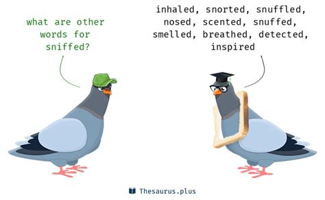 SNIFFED Synonyms: 14 Similar Words